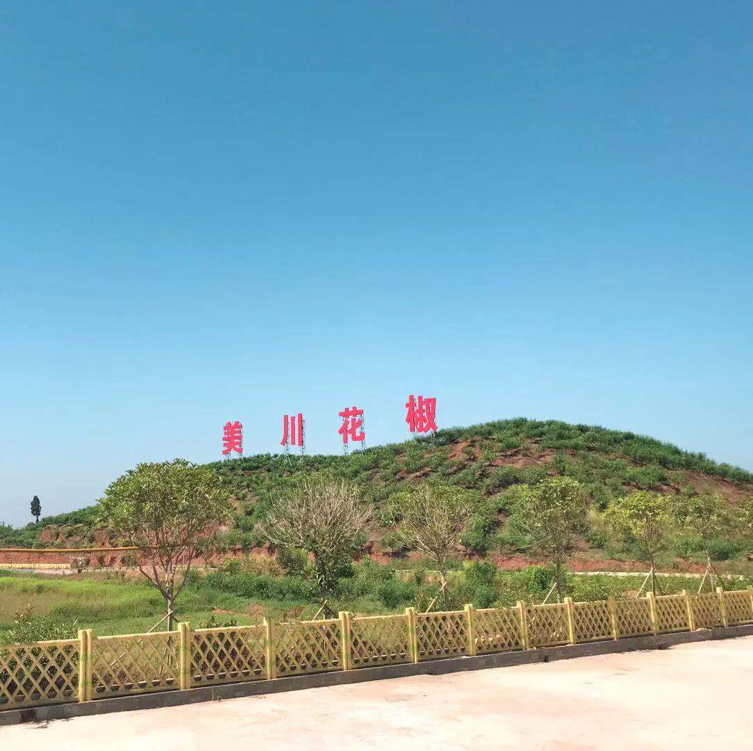 村企共創(chuàng)，建美麗宜居鄉(xiāng)村